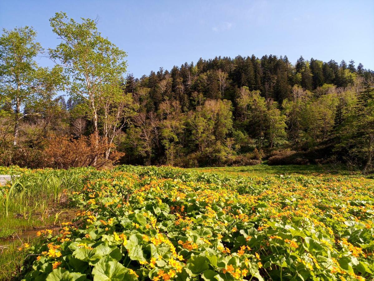 东川町 北海道k之屋-旭岳温泉青年旅馆旅舍 外观 照片